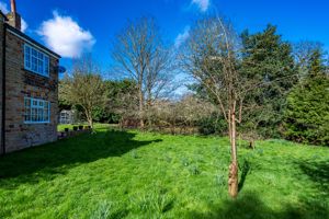 Photo 42- click for photo gallery